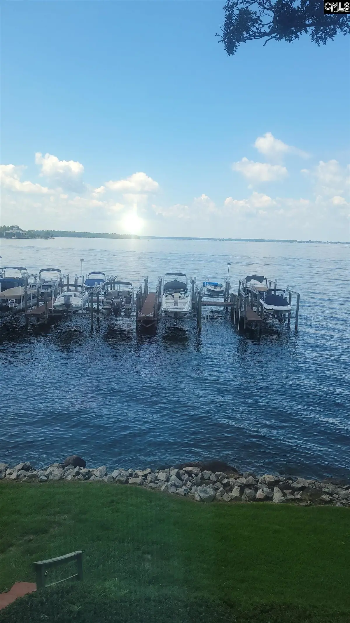 1441 Old Chapin Road, Lexington, SC 29072 - #1