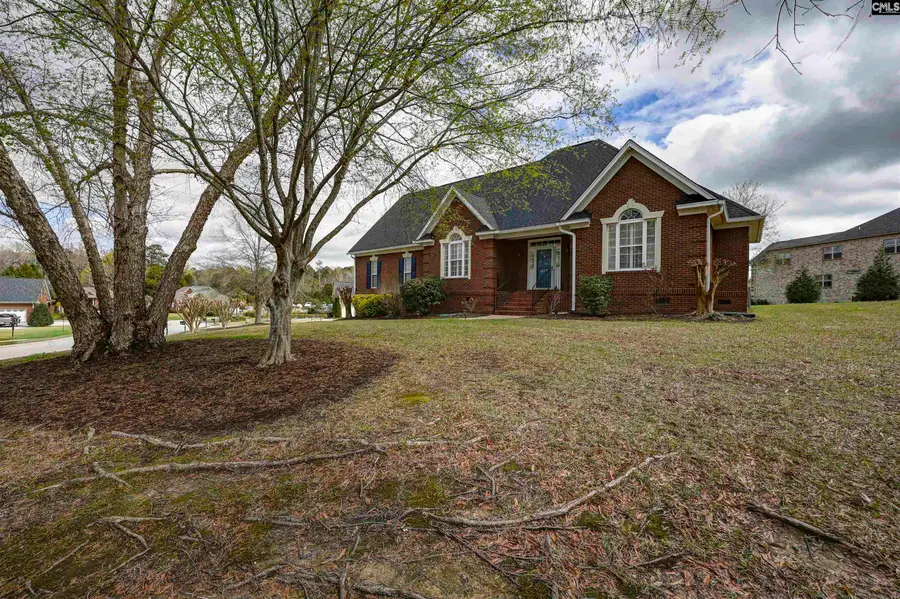 229 Bent Oak Drive, Chapin, SC 29036 - #2