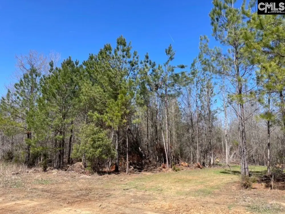 1214 Shady Lane, Camden, SC 29020 - #1