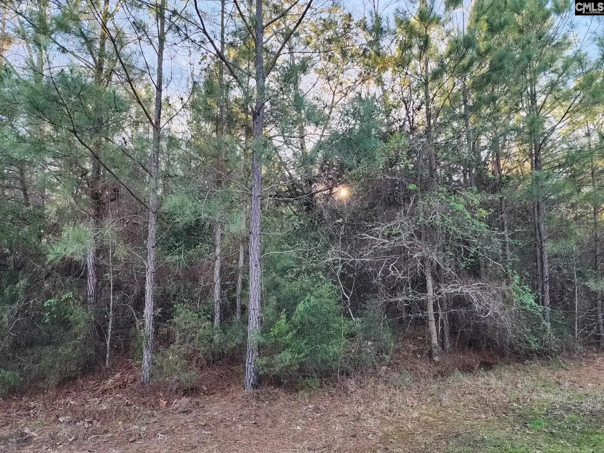 0 Wright-sims Road, Union, SC 29379 - #1