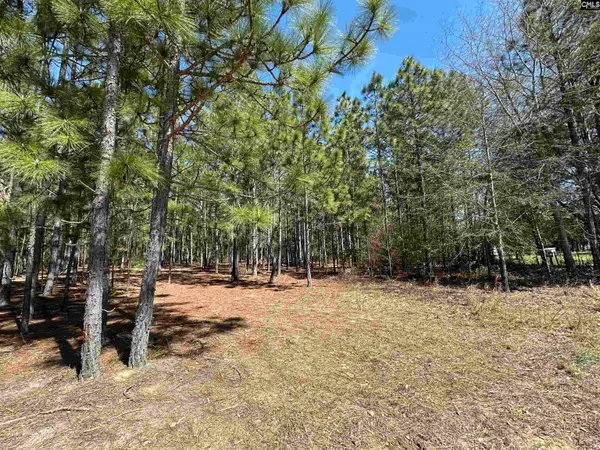 Lot 1 Mimosa Drive, Gaston, SC 29053