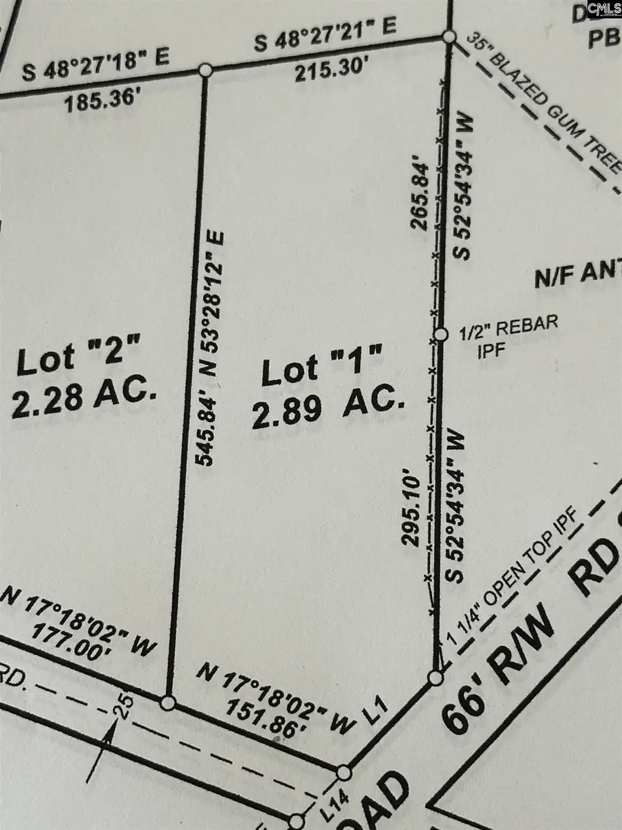 Lot 1 Mimosa Drive, Gaston, SC 29053 - #3
