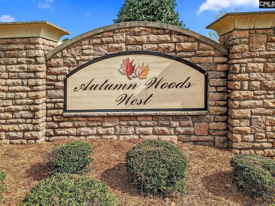 251 Meadow Saffron Drive, Lexington, SC 29073 - #2