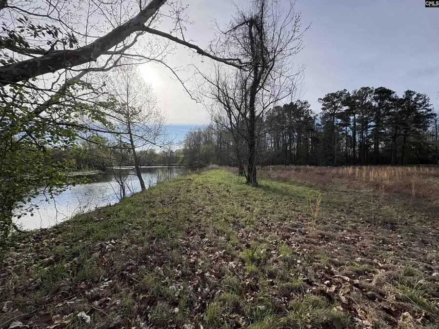 194 Wild Turkey Lane, Camden, SC 29020 - #2