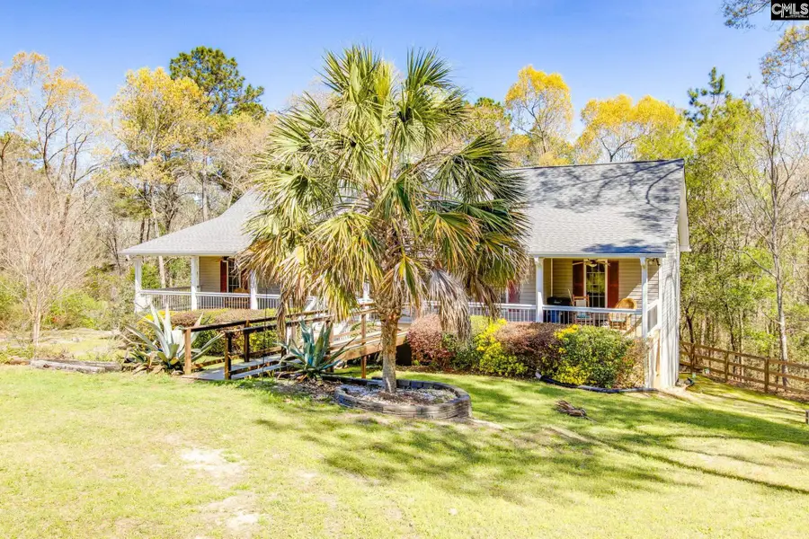 239 Blackthorn Drive, Gilbert, SC 29054 - #3