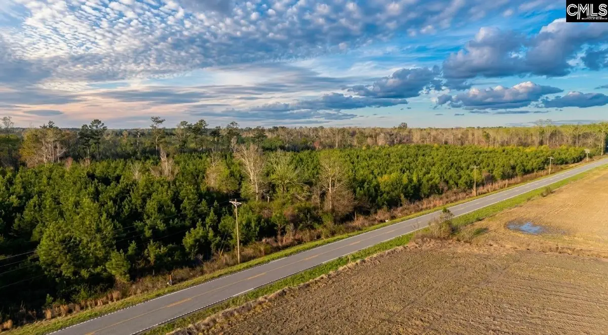 TBD Bay Road, Rowesville, SC 29133 - #1