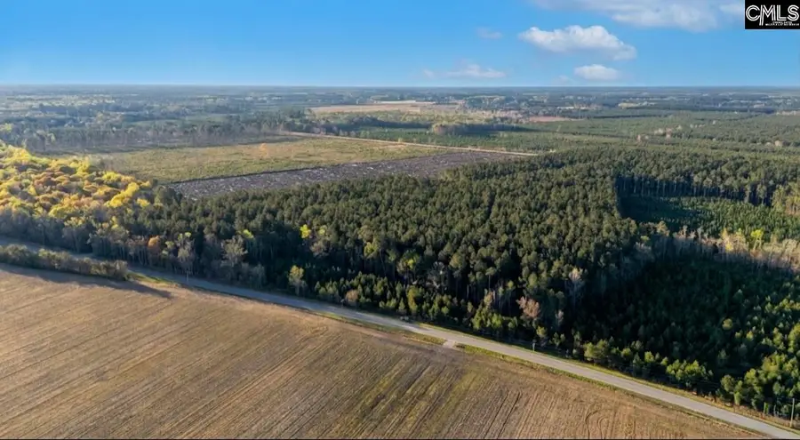 TBD Bay Road, Rowesville, SC 29133 - #2