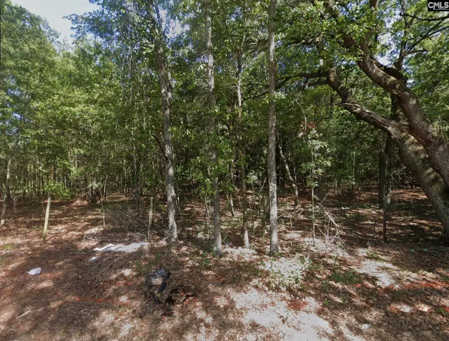 1459 Caroline Road, Columbia, SC 29209 - #2