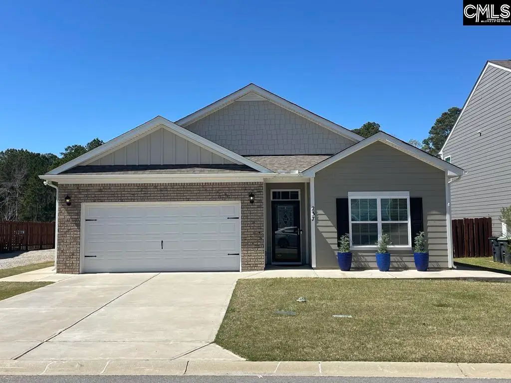 237 Timber Wood Drive, Chapin, SC 29036 - #1