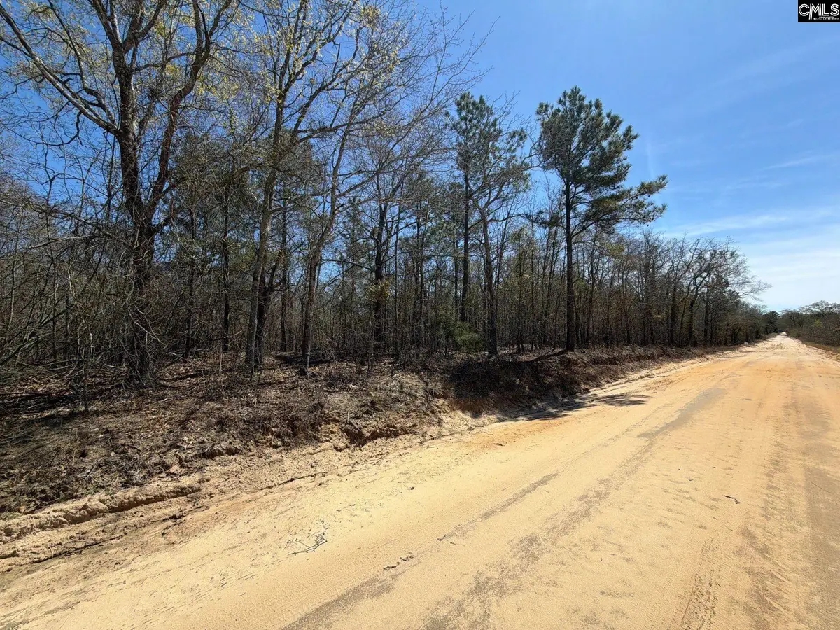 BHL 9 Boise Cascade Road #BHL 9, Bethune, SC 29009 - #1