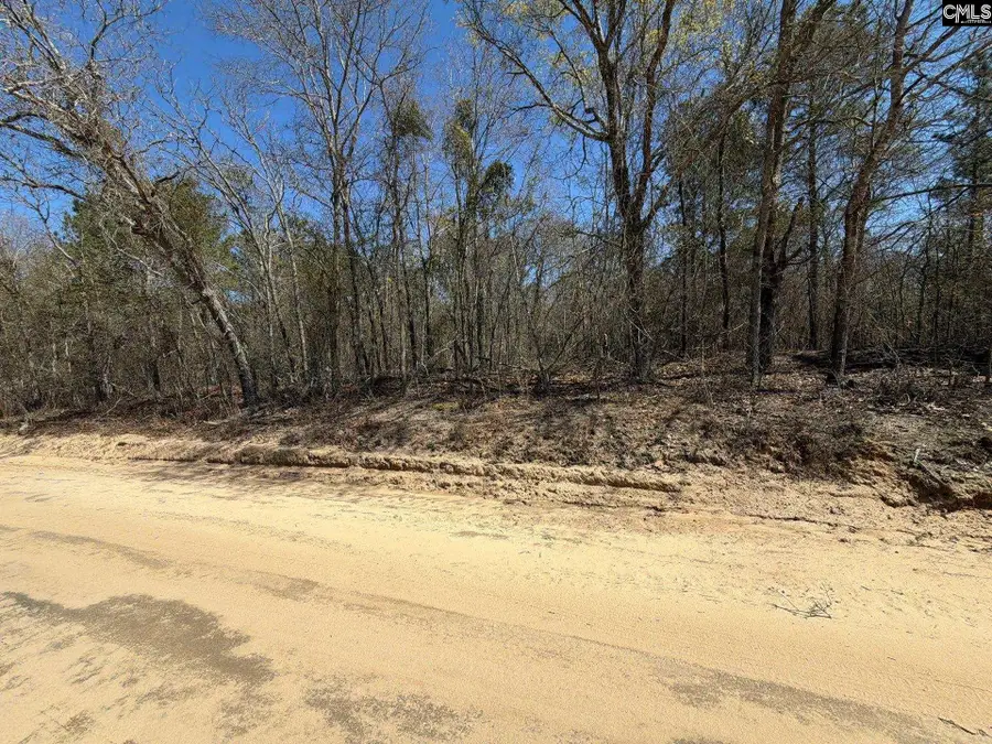 BHL 9 Boise Cascade Road #BHL 9, Bethune, SC 29009 - #2