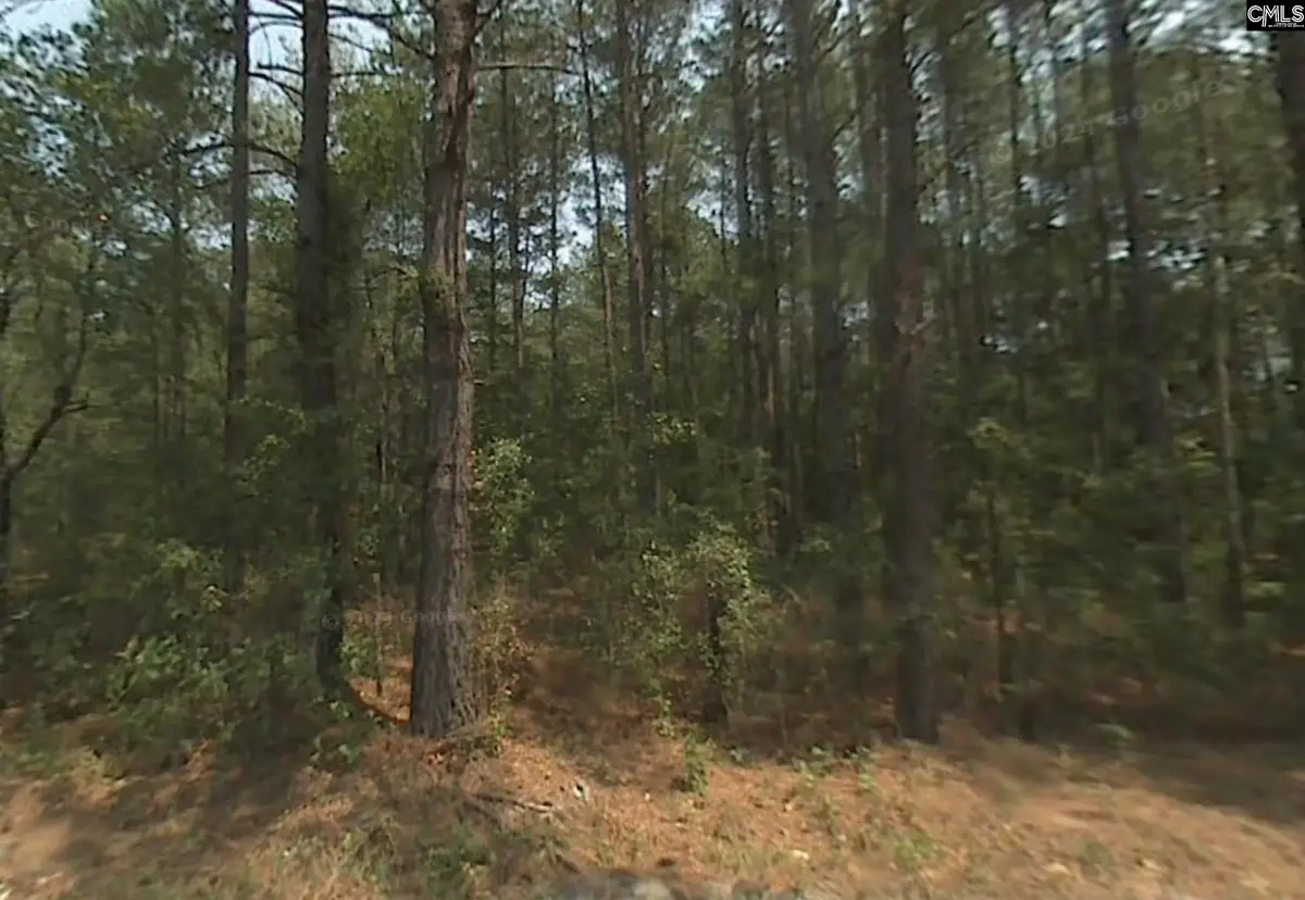 W/S Zacks Playhouse Road, Pontiac, SC 29449 - #1