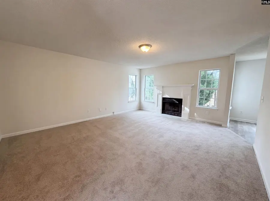 217 Branchview Drive, Columbia, SC 29229 - #3