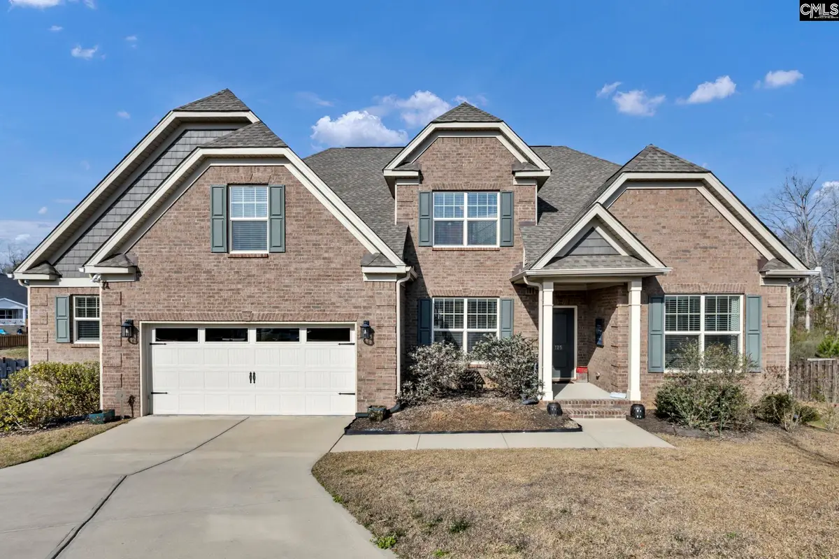 125 Chapin Creek Court, Chapin, SC 29036 - #1