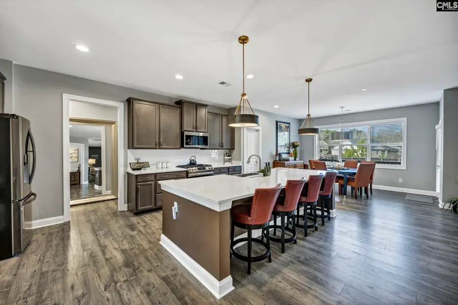 125 Chapin Creek Court, Chapin, SC 29036 - #2