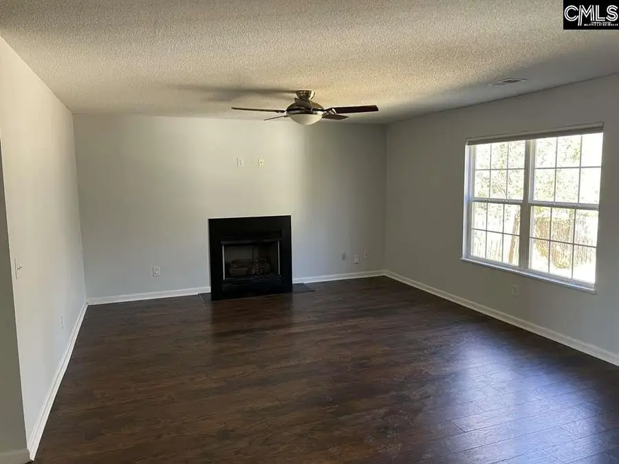 212 Walkbridge Way, Chapin, SC 29036 - #3