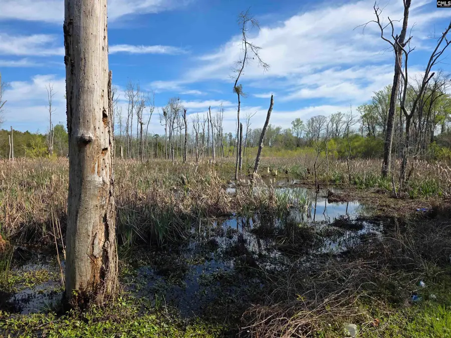 TBD Blewer Road, Cordova, SC 29039 - #3