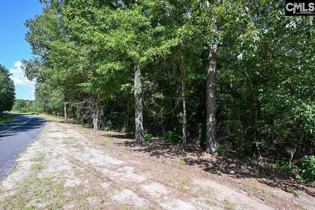 681 New Hope Road, Orangeburg, SC 29118 - #1