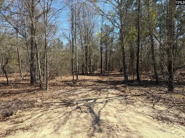 BHL 10 Boise Cascade Road #BHL 10, Bethune, SC 29009