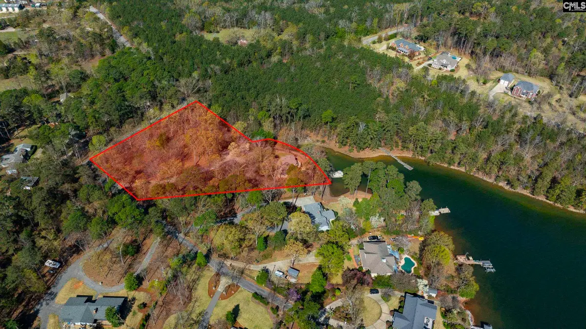 1007 Old Forge Court, Chapin, SC 29036 - #1