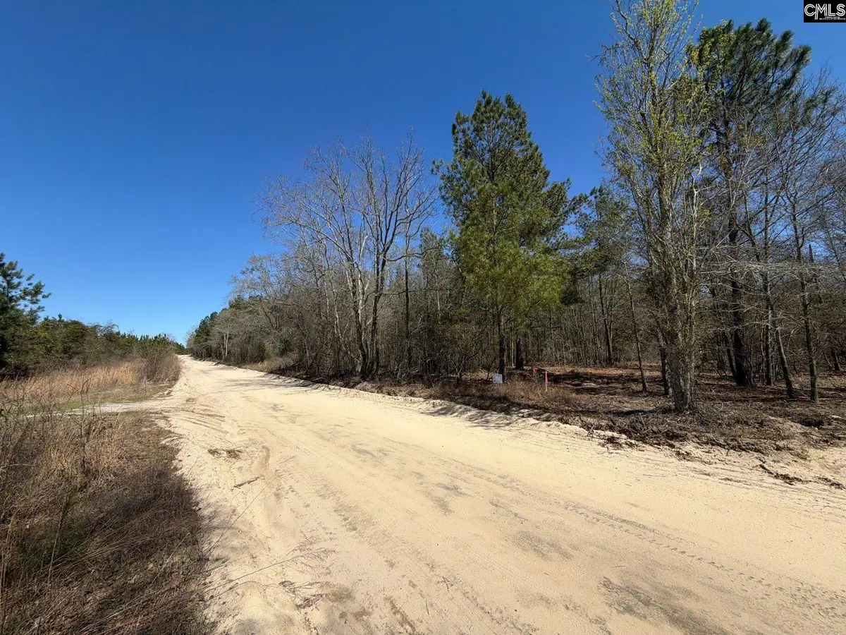 BHL 11 Boise Cascade Road #BHL 11, Bethune, SC 29009 - #1