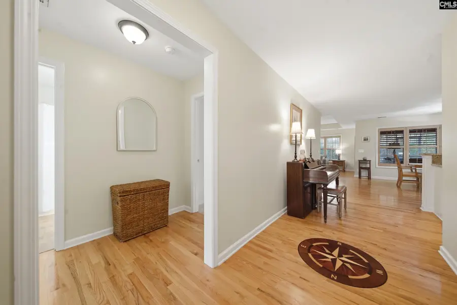 112 Rum Gully Lane, Chapin, SC 29036 - #3