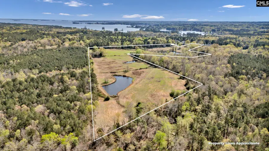 421 & 0 Shore Road, Gilbert, SC 29054 - #3