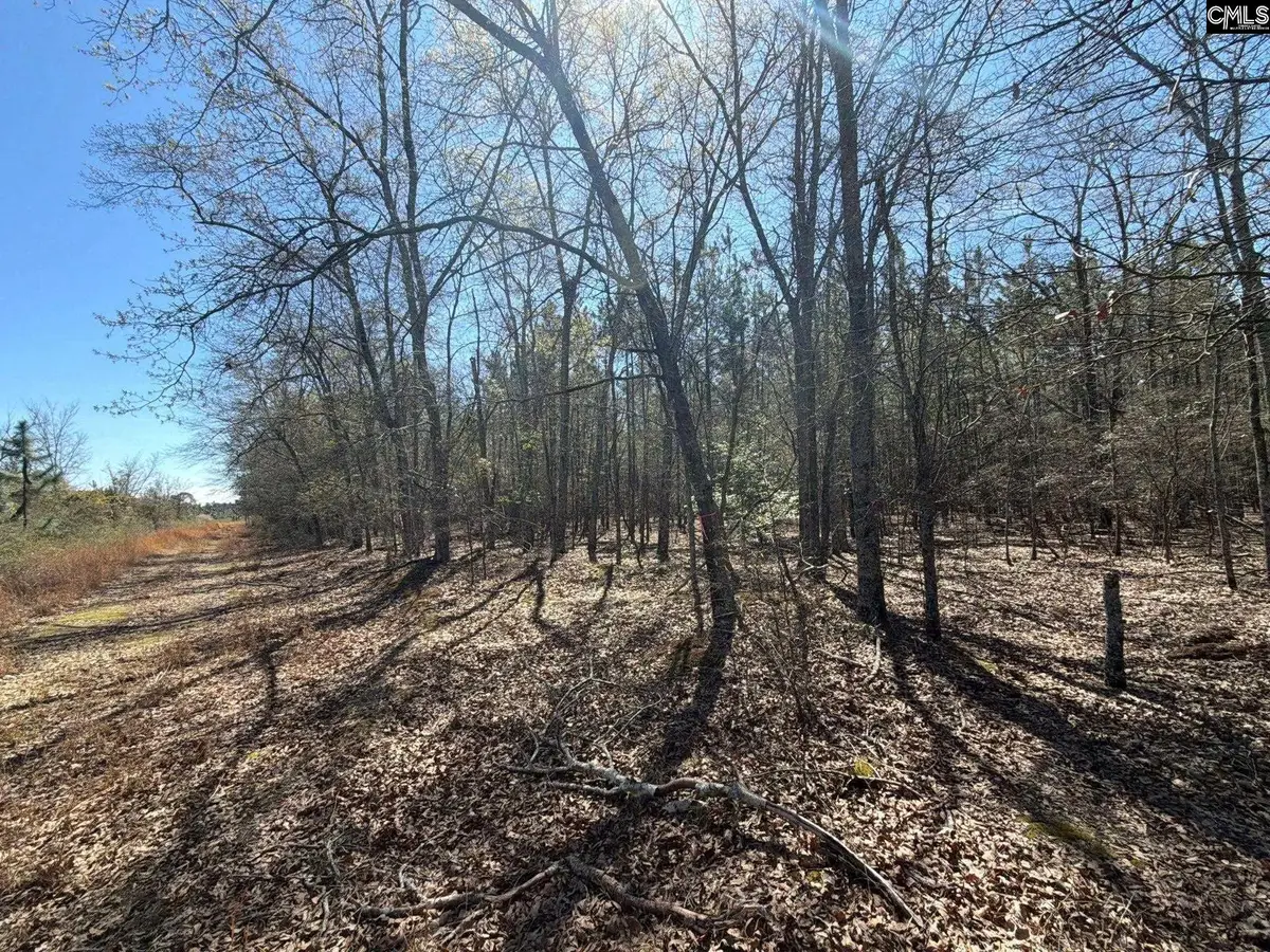 BHL 12 Boise Cascade Road #BHL 12, Bethune, SC 29009 - #1