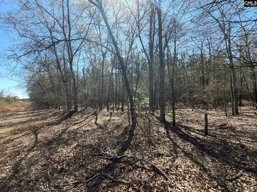 BHL 12 Boise Cascade Road #BHL 12, Bethune, SC 29009 - #2