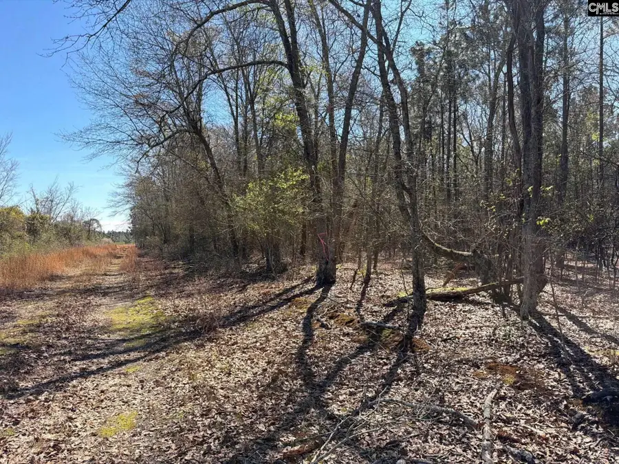 BHL 12 Boise Cascade Road #BHL 12, Bethune, SC 29009 - #3