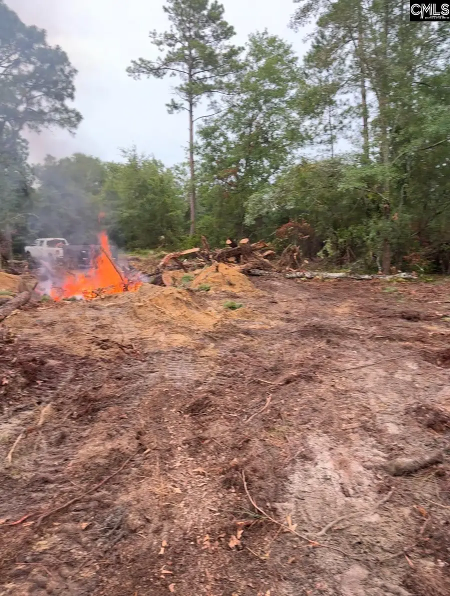 Tbd Pennington Drive, Gaston, SC 29053 - #2