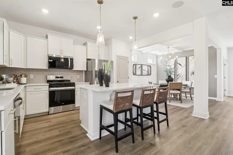 624 Griffon Drive, Chapin, SC 29036 - #3