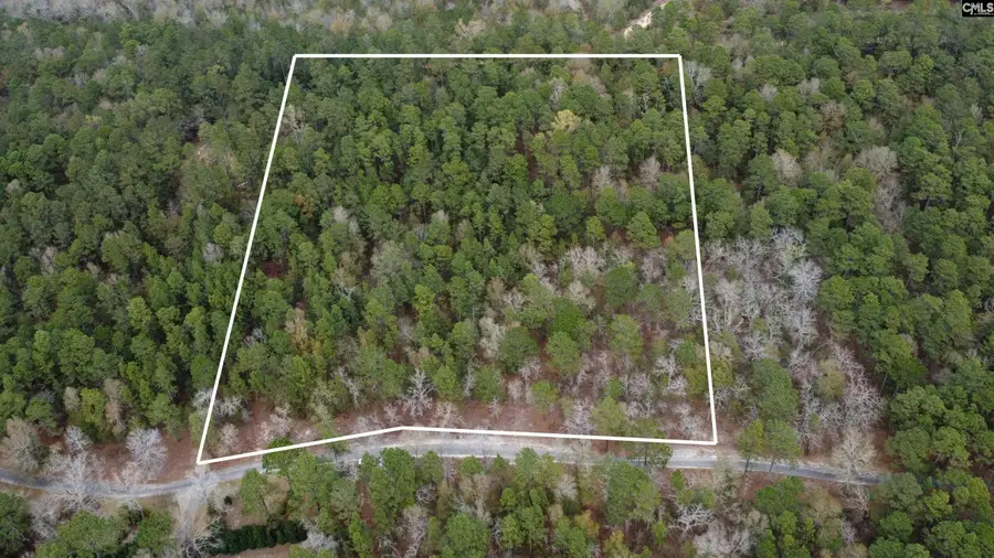 TBD Edisto Lake Road #102, Wagener, SC 29164 - #2