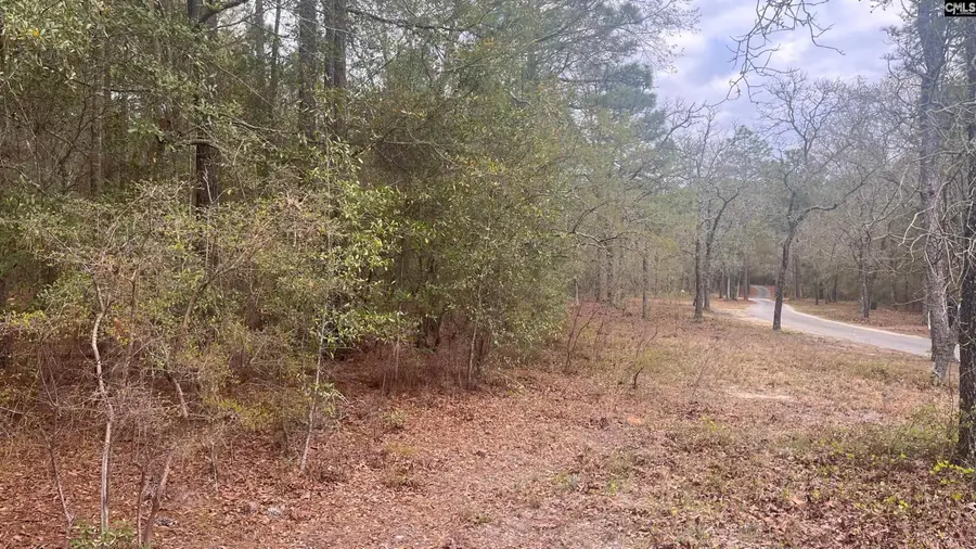 TBD Edisto Lake Road #102, Wagener, SC 29164 - #3