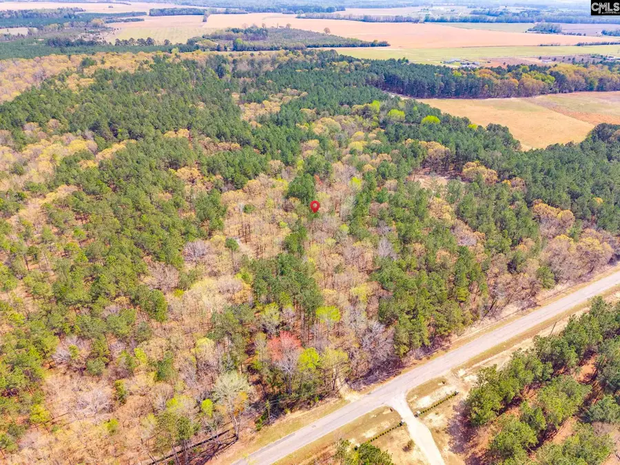 Springvale Drive, Bishopville, SC 29010 - #3