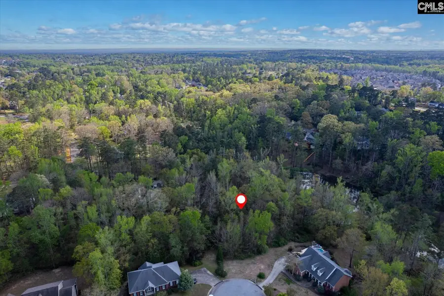 145 Autumn Oaks Lane, Lexington, SC 29073 - #3