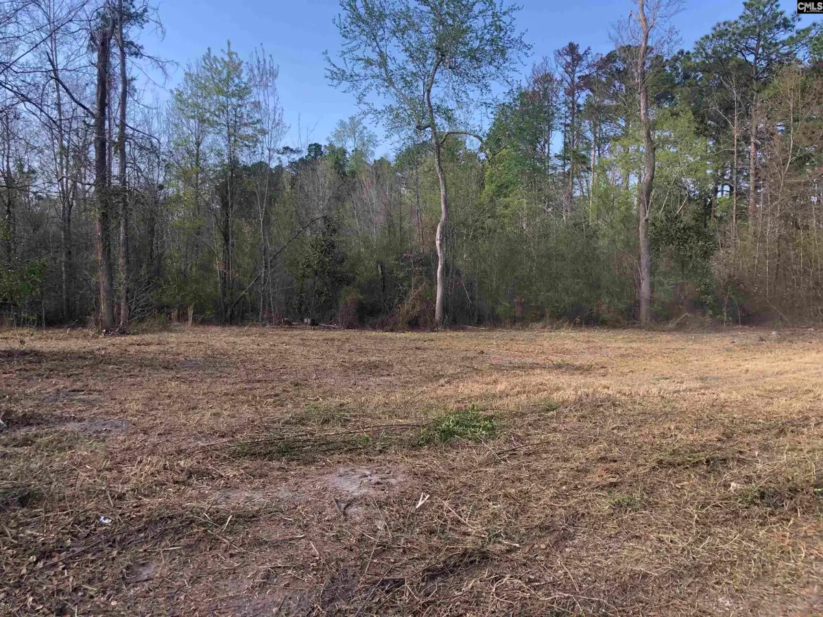 William Circle, West Columbia, SC 29172 - #1