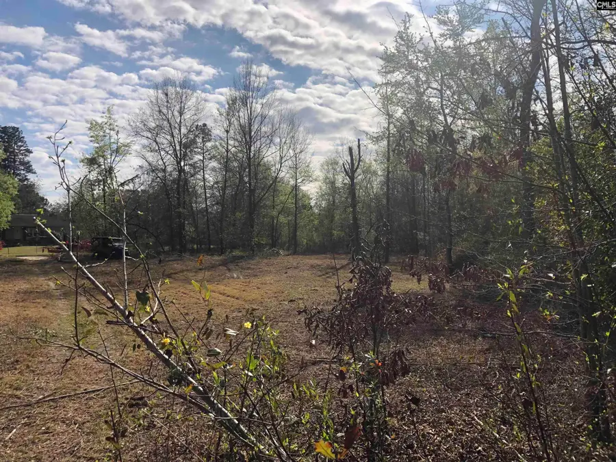 William Circle, West Columbia, SC 29172 - #3