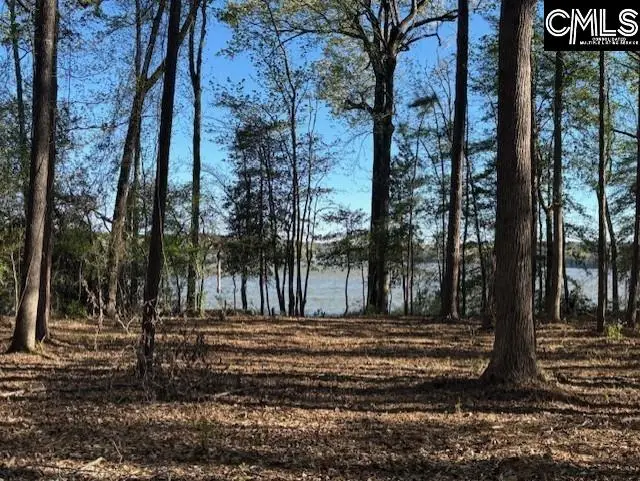 000 Fannie Black, Prosperity, SC 29127 - #2