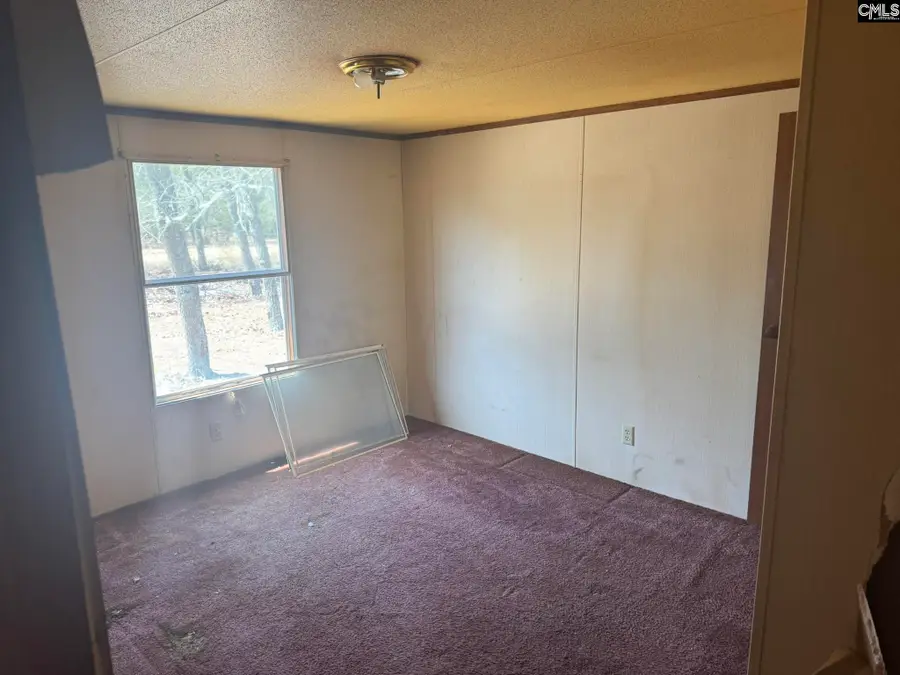 230 Ann Street, Pelion, SC 29123 - #3