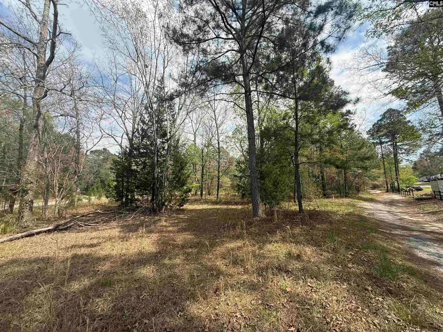 129 Treemount Lane, Gaston, SC 29053 - #2