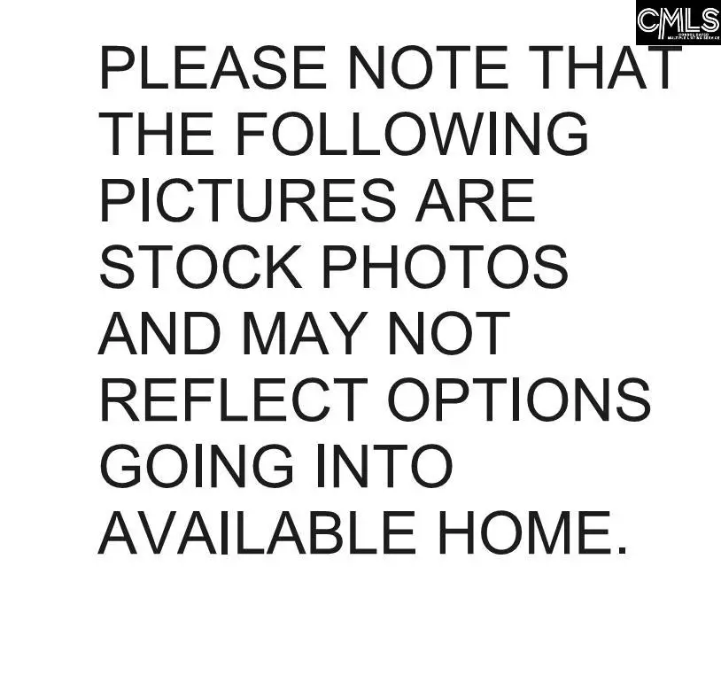 3946 Golden Crane Pass, Lexington, SC 29073 - #2