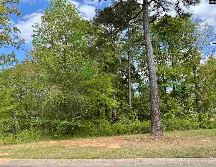 200 Clubside Drive, Lexington, SC 29072 - #2