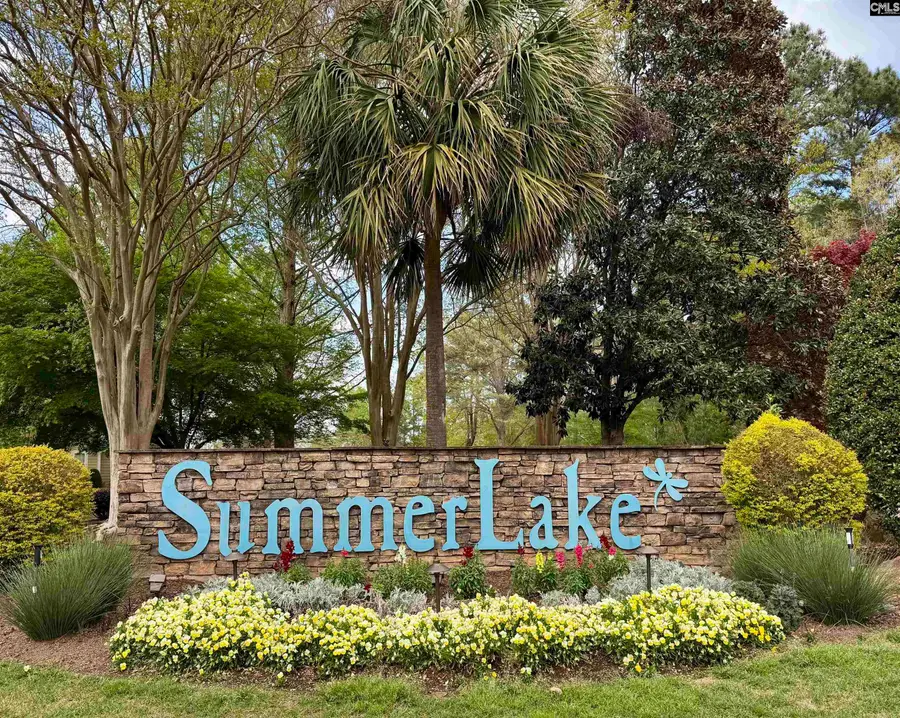 200 Clubside Drive, Lexington, SC 29072 - #3