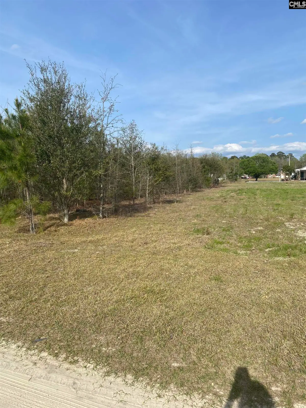 0 Sea Ray Lane, Marion, SC 29571 - #1