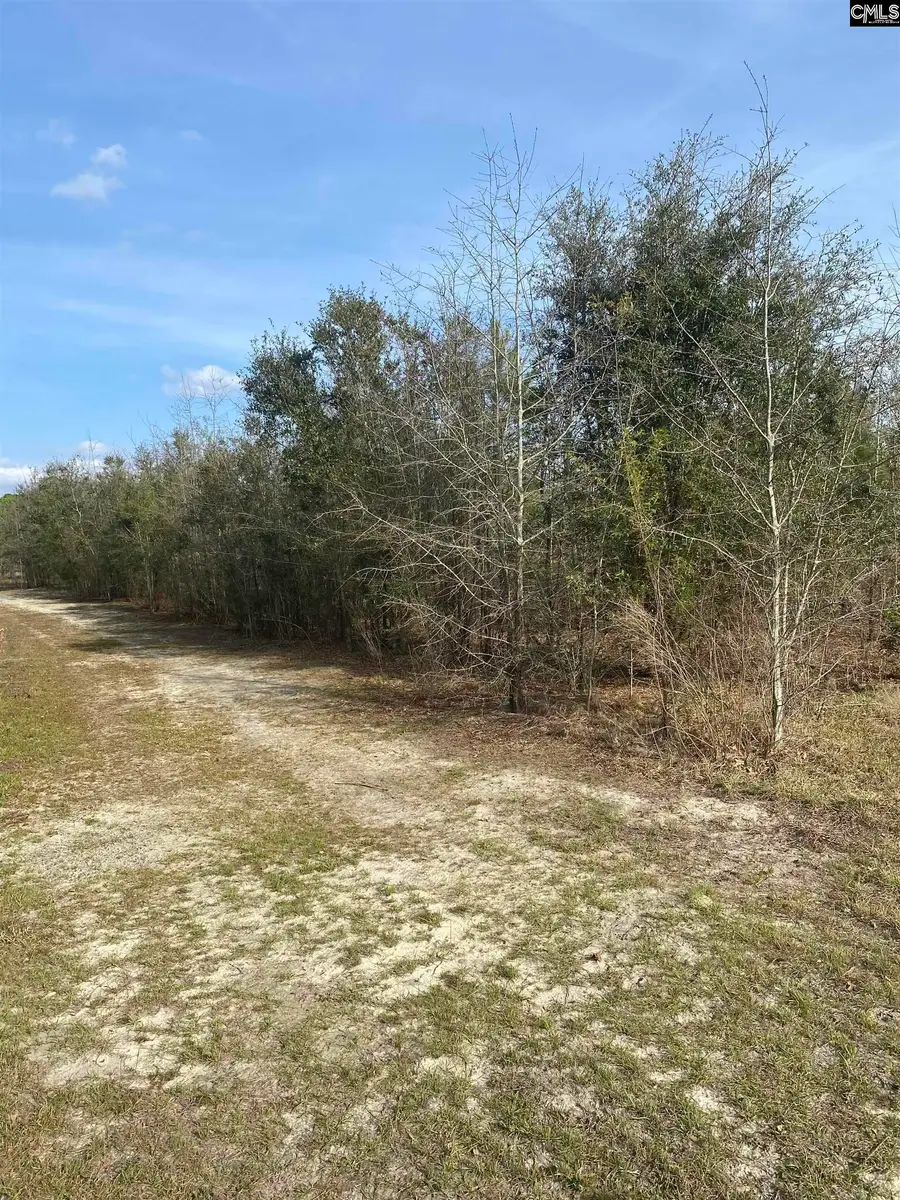 0 Sea Ray Lane, Marion, SC 29571 - #3