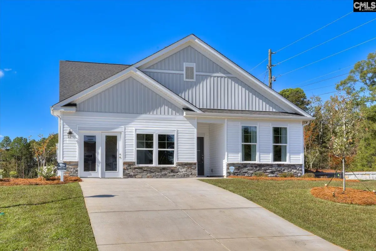 323 Granny's Cut Way, Chapin, SC 29036 - #1