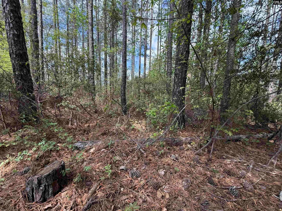 116 High Pointe Drive, Blythewood, SC 29016 - #1