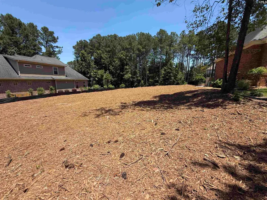 116 High Pointe Drive, Blythewood, SC 29016 - #3
