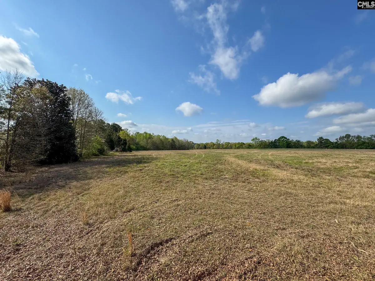 0 Shealy Road #Lot 1, Batesburg, SC 29006 - #1